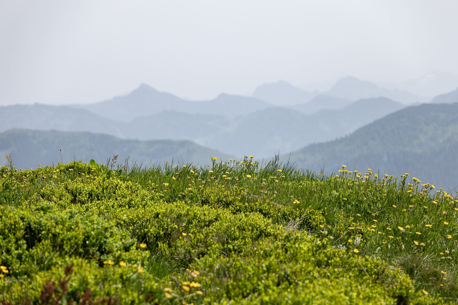 (E-)Bike & Hike Regenerationsmomente rund um die Kleinarler Hütte und den Penkkopf