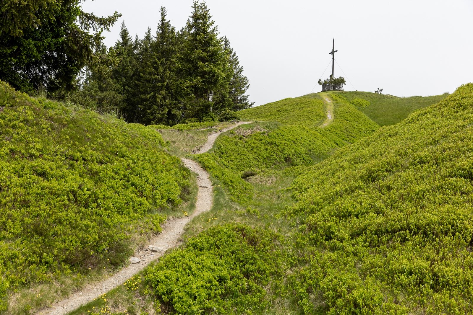 (E-)Bike & Hike Regenerationsmomente am Hochgründeck