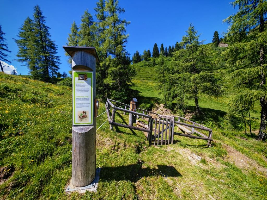 Regenerieren beim Fieberbründl – mit Bergbahnenaufstieg/Sommer 2026: Grafenbergbahn wegen Neubau geschlossen