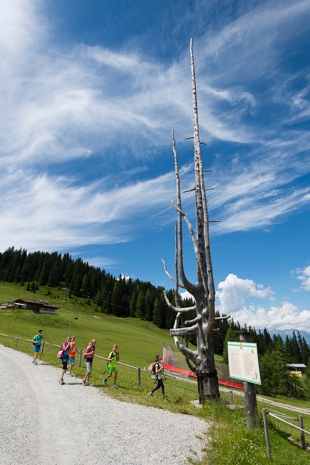Wagrain - Grafenberg/Sommer 2026: Grafenbergbahn wegen Neubau geschlossen
