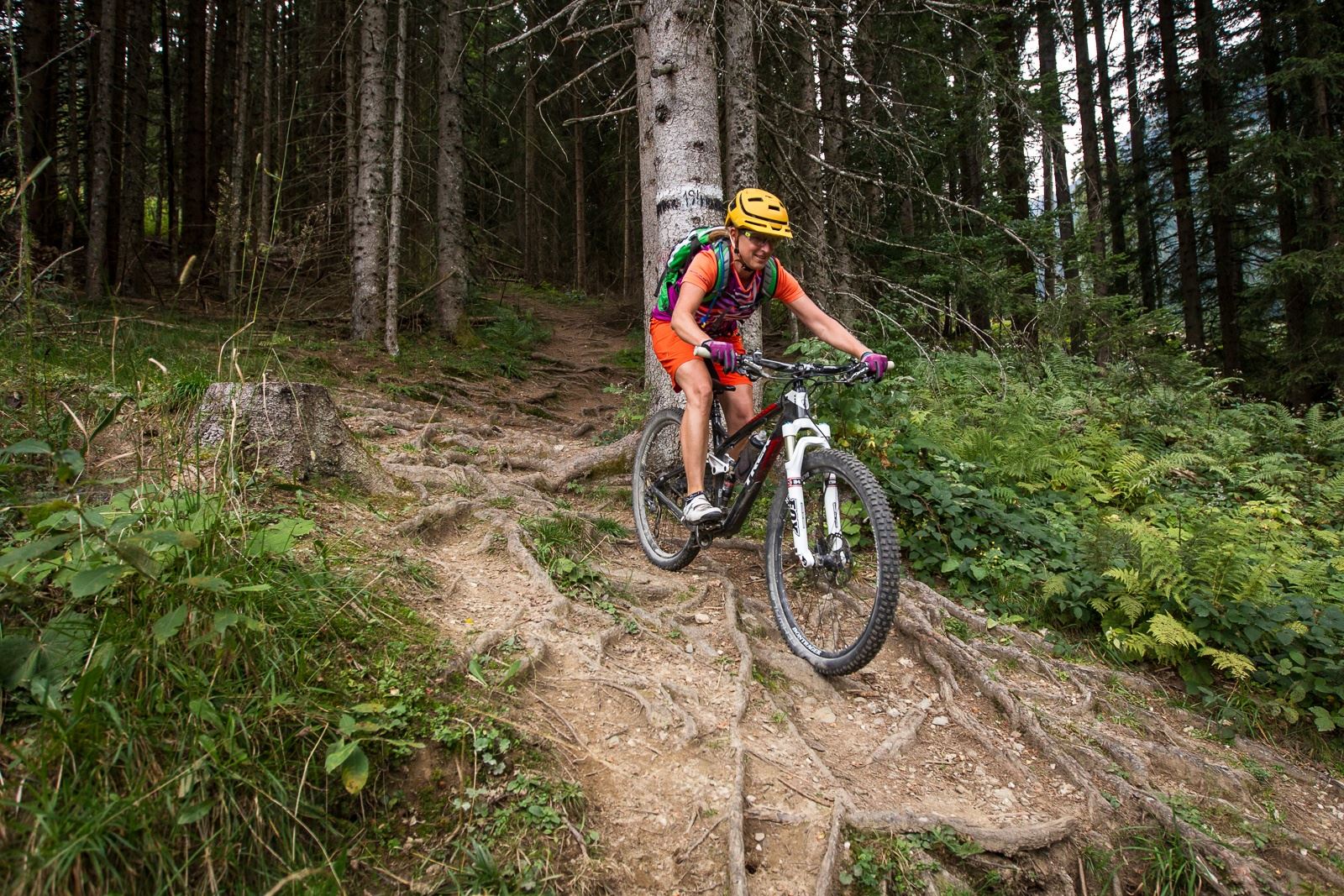 Hirschleit-Trail