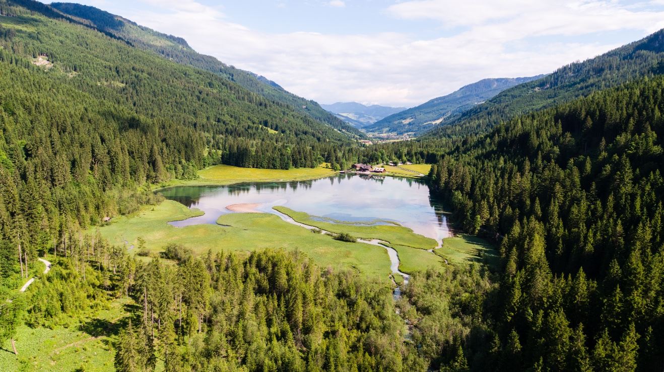 Rund um den Jägersee