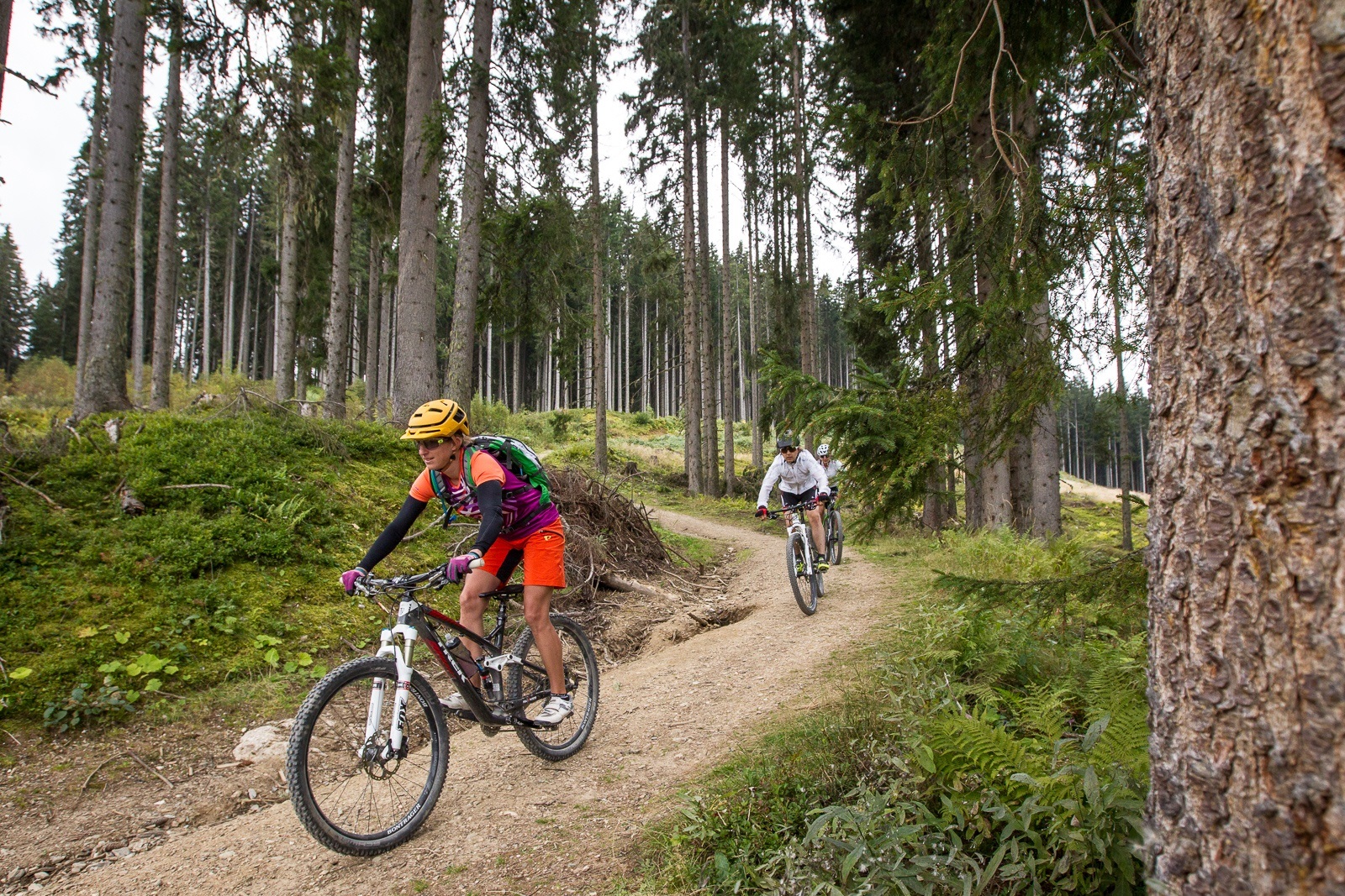 Kleinarler Runde (SW45 inkl. Variante und Trails)