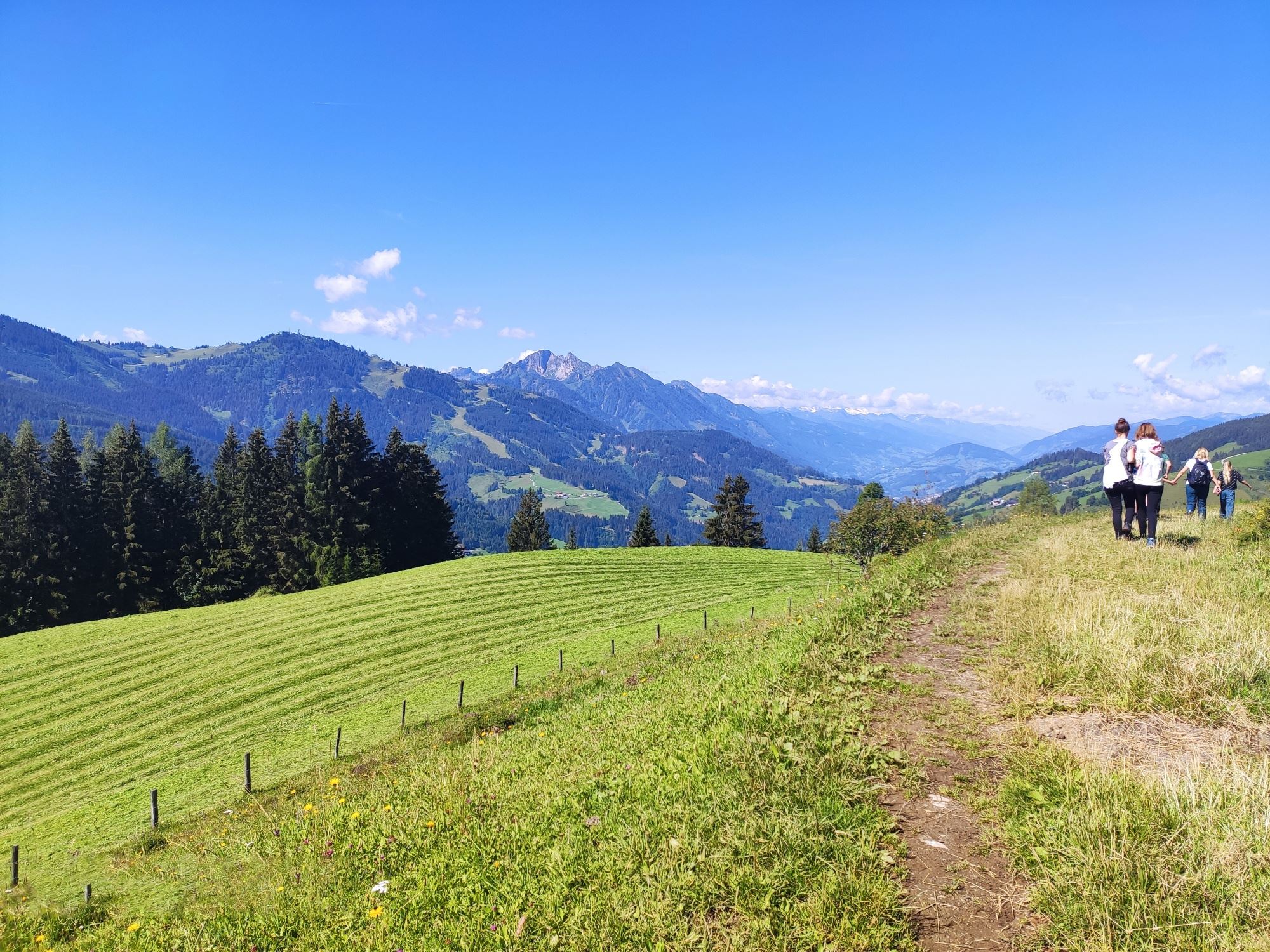Rund um das Öbristköpfl / Wagrainer Alm (55,453)