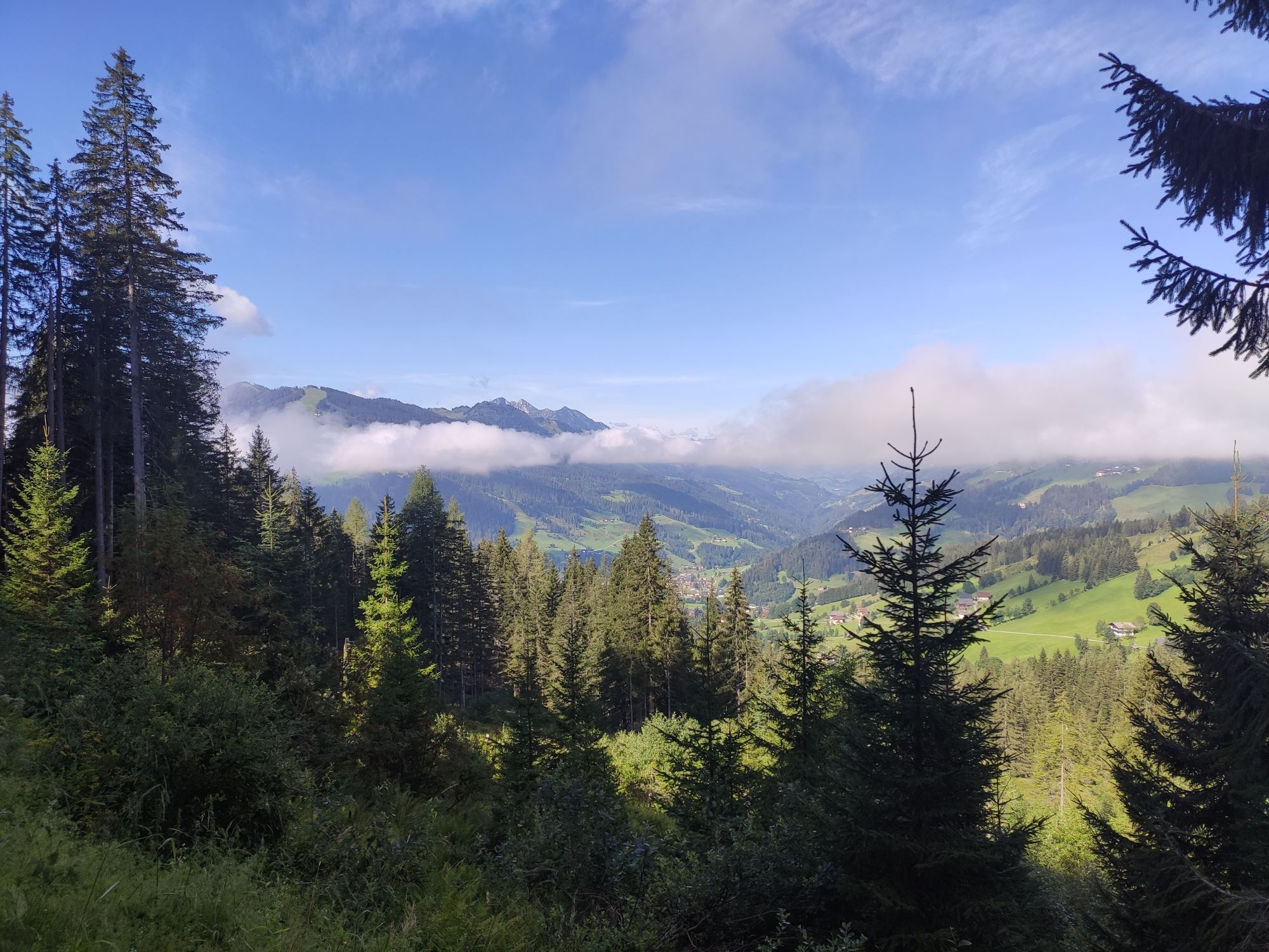 Wagrain - Moadörfl - Edelweissalm - Lärchenwaldweg - Wagrain