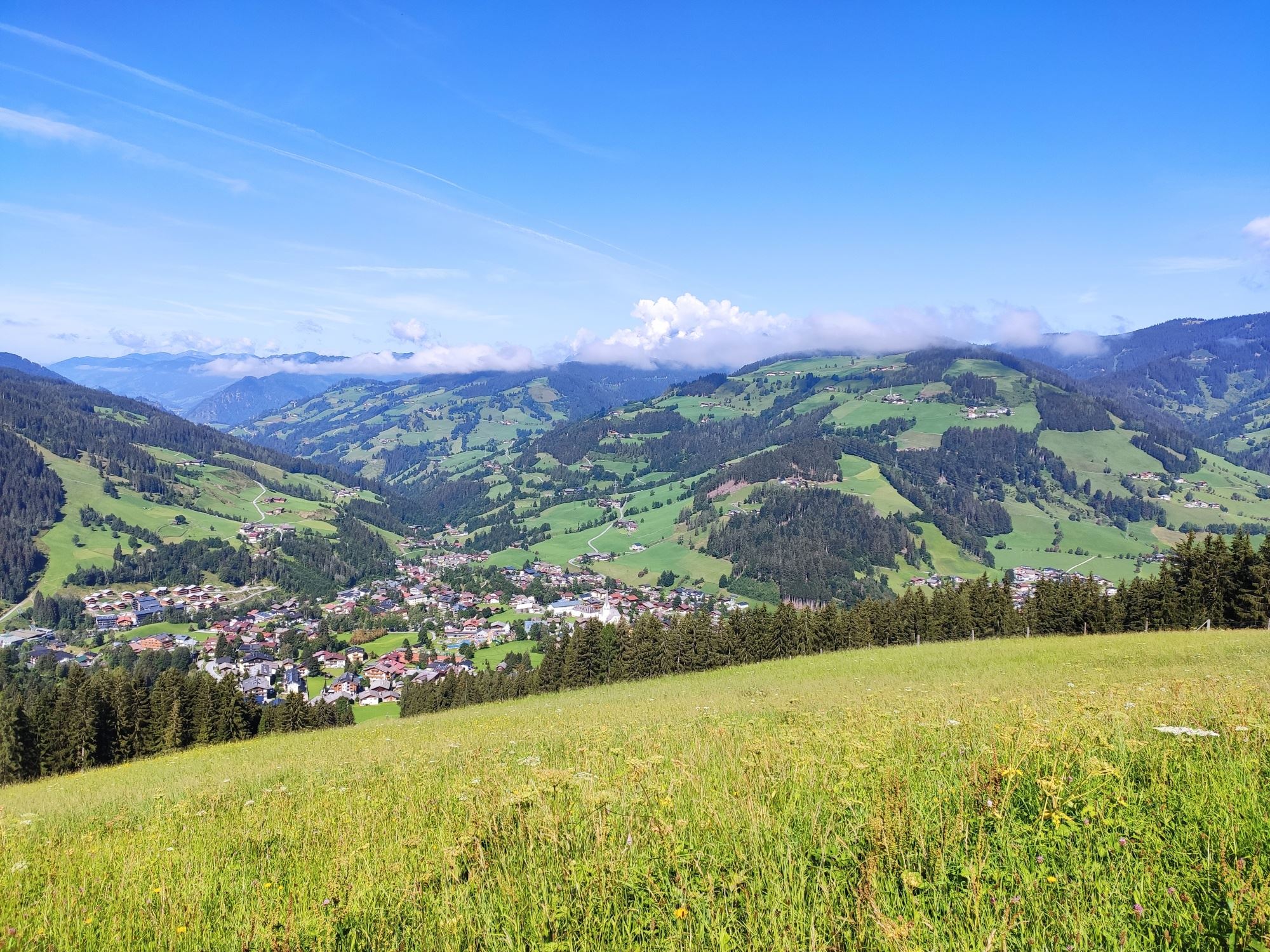 Lärchenwaldweg zur Edelweissalm